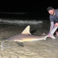 Joseph Hunze 6ft Sandbar Shark 2